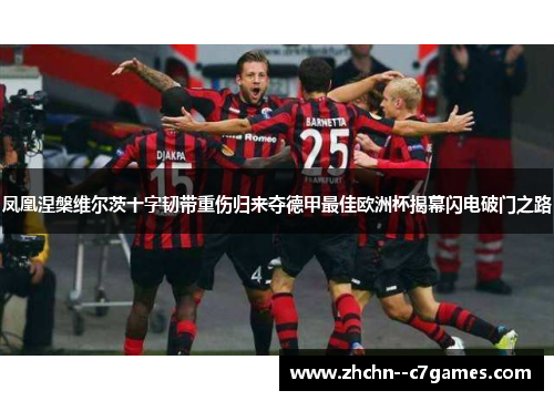 凤凰涅槃维尔茨十字韧带重伤归来夺德甲最佳欧洲杯揭幕闪电破门之路 凤凰涅槃维尔茨十字韧带重伤归来夺德甲最佳欧洲杯揭幕闪电破门之路
